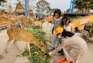 Vườn thú rộng 50 héc-ta tại tỉnh Long An mở cửa đón khách